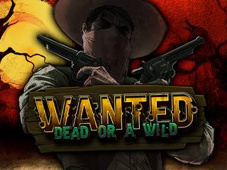 wanted_dead_or_a_wild slot